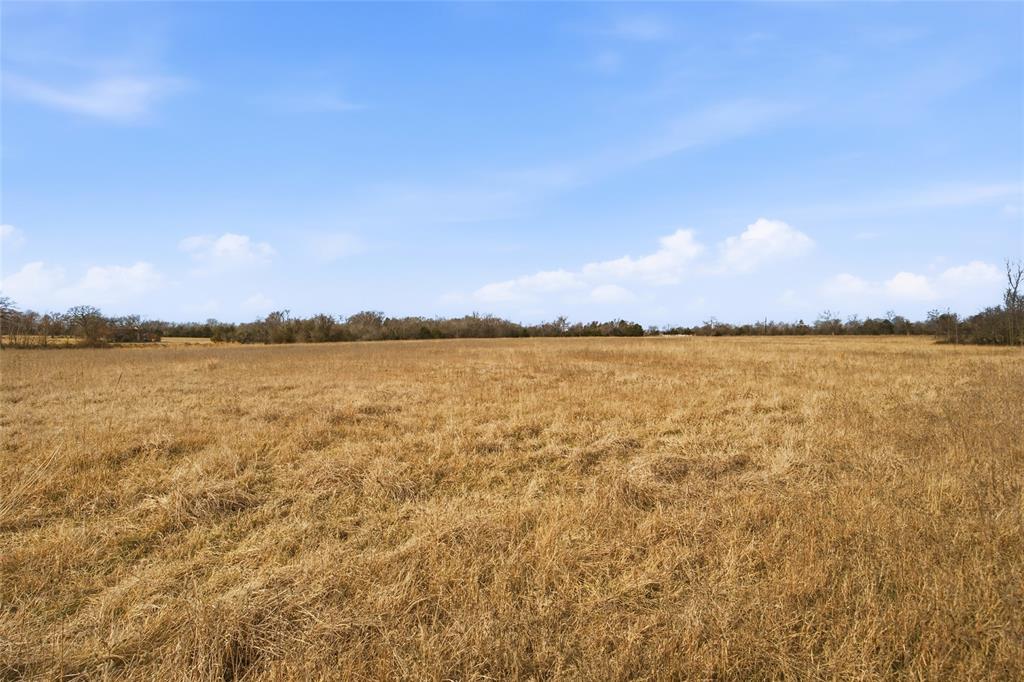 742 County Road 1144 Point, TX 75472 - Photo 28 of 28 a view of an ocean and city from a lake