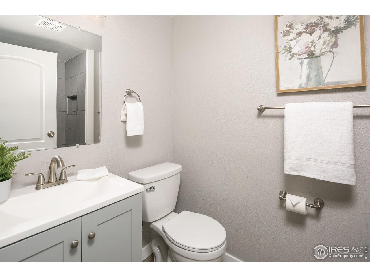1409 Briarwood Road Fort Collins, CO 80521 - Photo 21 of 27 Basement Bathroom