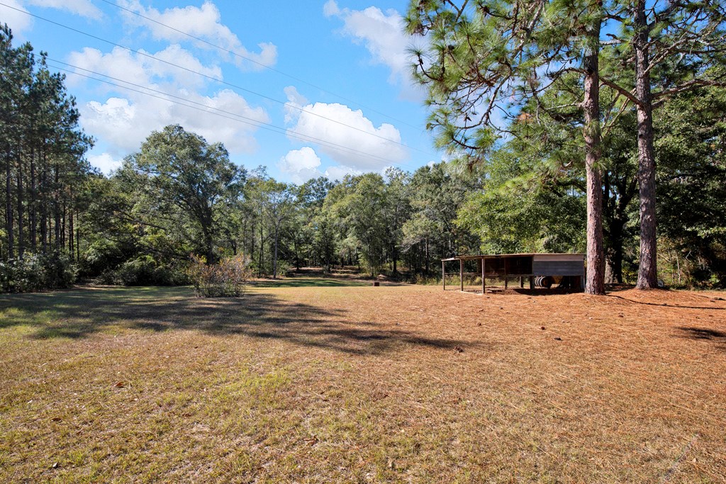 975 Webb To Kinsey Road Webb, AL 36376 - Photo 9 of 56