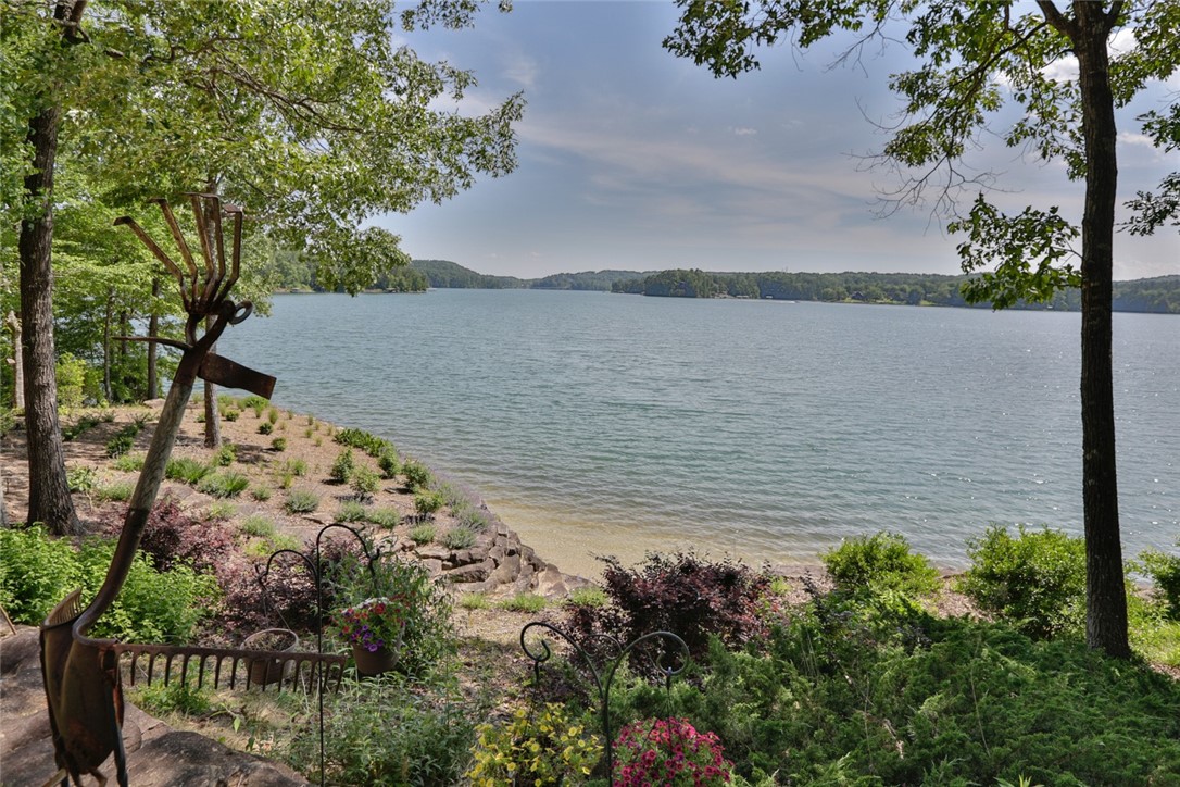 214 Wild Ginger Way Sunset, SC 29685 - Photo 13 of 49 From patio off screened porch