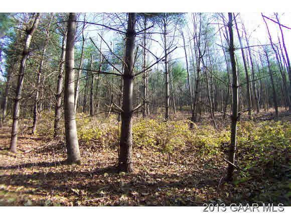 Tbd Callison Mill Road Middlebrook, VA 24459 - Photo 3 of 4 Gallery Image 3