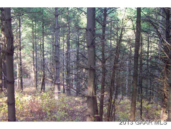 Tbd Callison Mill Road Middlebrook, VA 24459 - Photo 4 of 4 Gallery Image 4