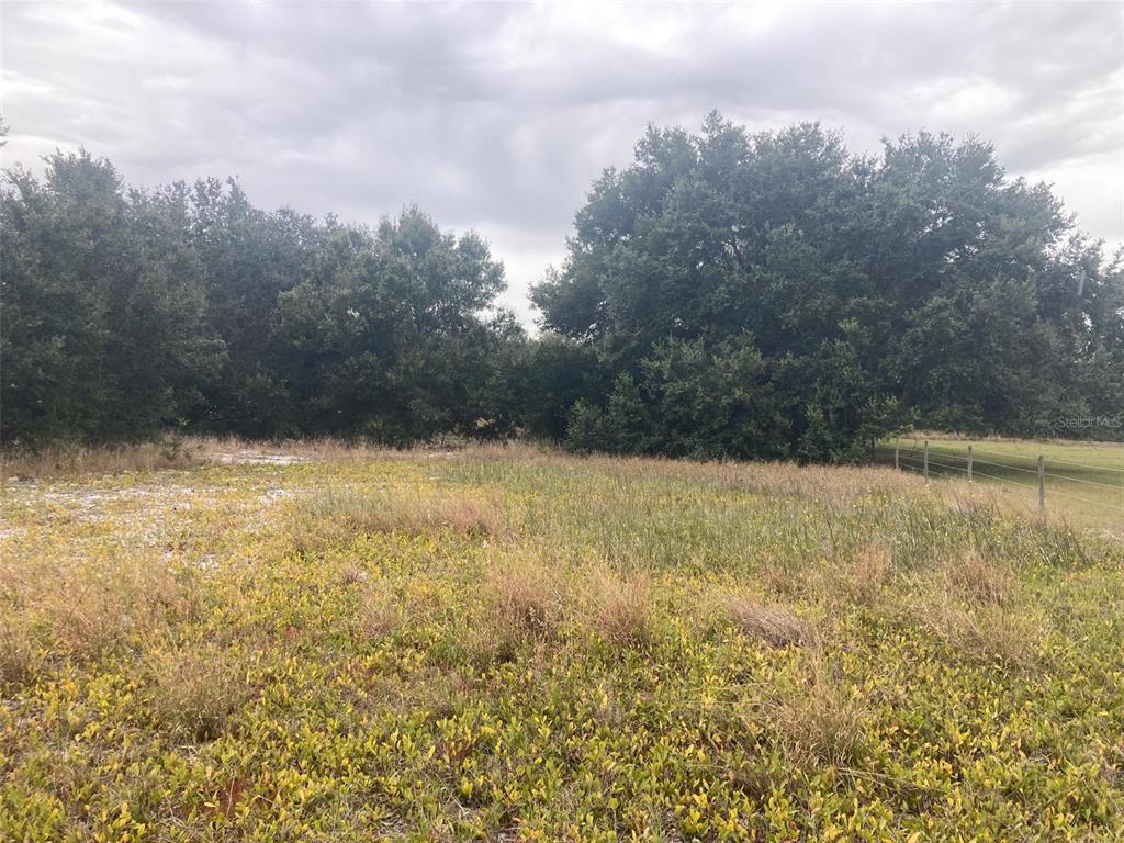 3231 Mountain Lake Cutoff Road Lake Wales, FL 33859 - Photo 4 of 6