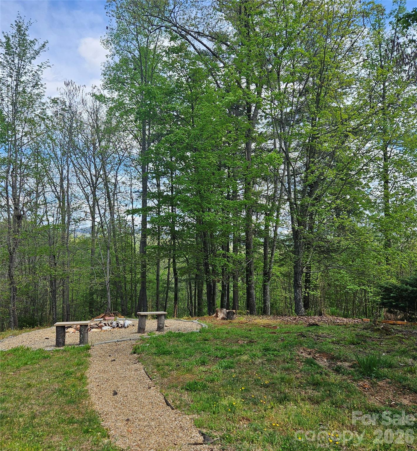 649 Upper Bailey Branch Road Mars Hill, NC 28754 - Photo 26 of 30