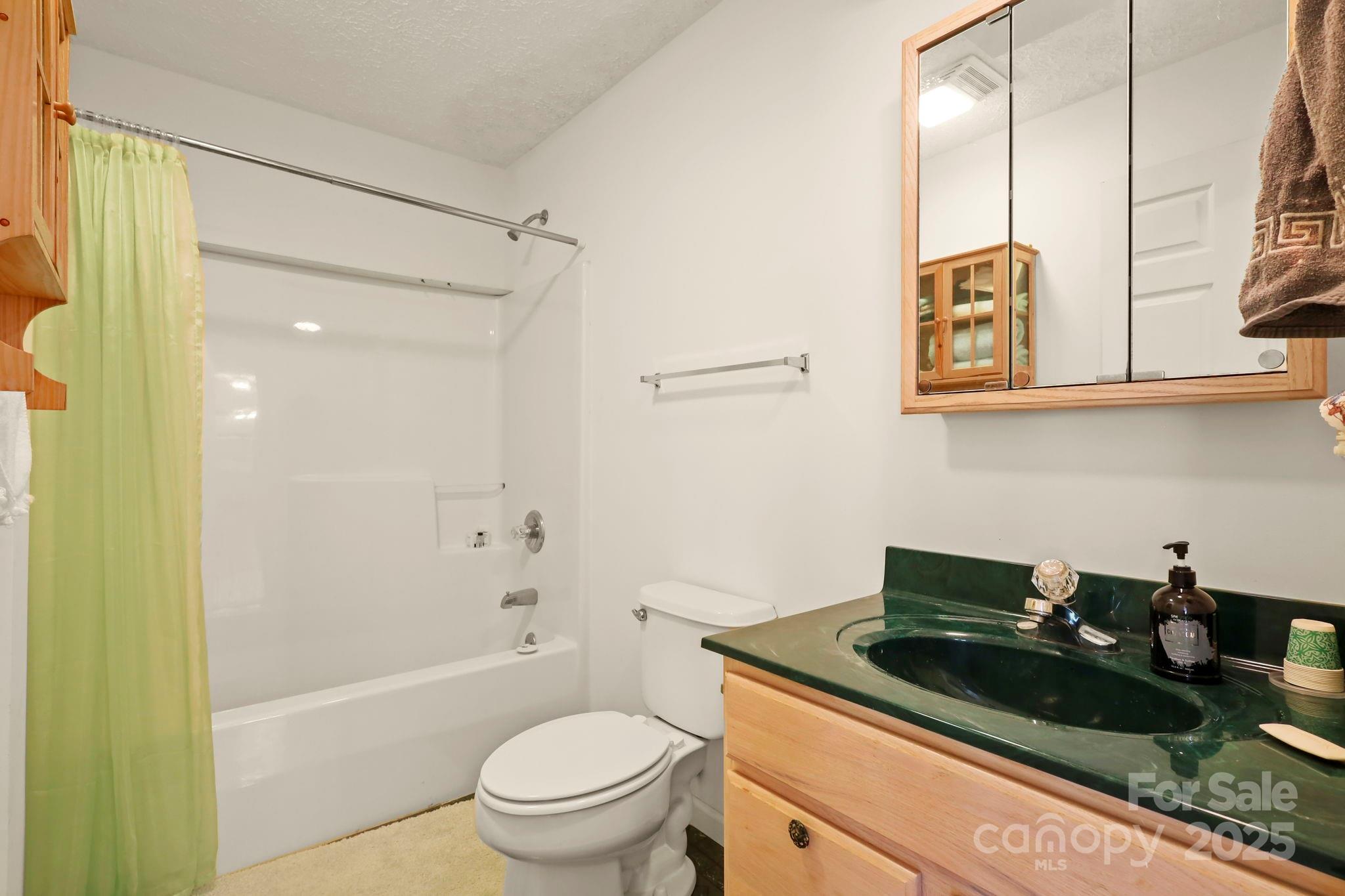 31 Barlow Road Elk Park, NC 28622 - Photo 22 of 40 a bath room with a sink and a toilet