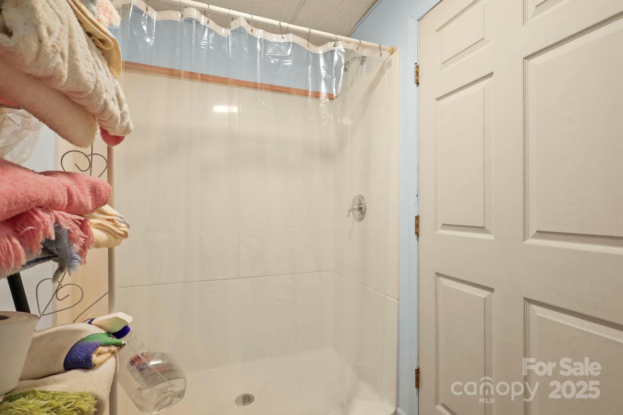 31 Barlow Road Elk Park, NC 28622 - Photo 32 of 40 a bathroom with a shower and a bath tub