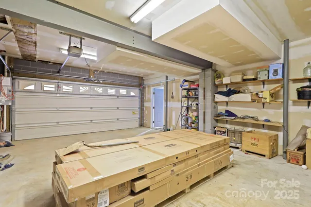 a view of a tree in a yard