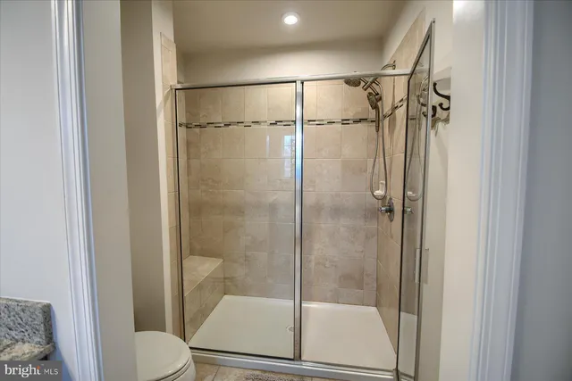 a bathroom with a shower and toilet