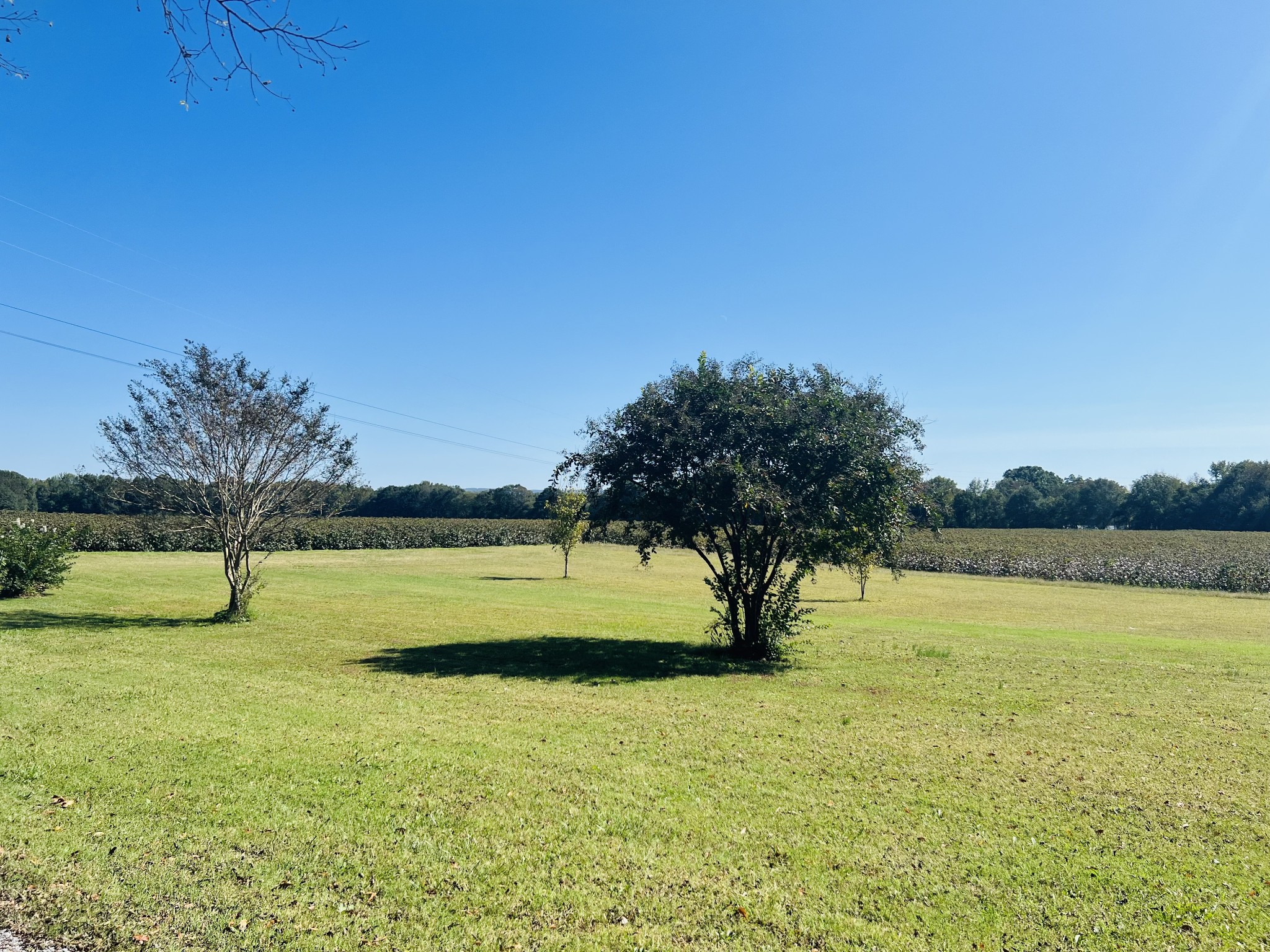 Spacious side yard for outside activities