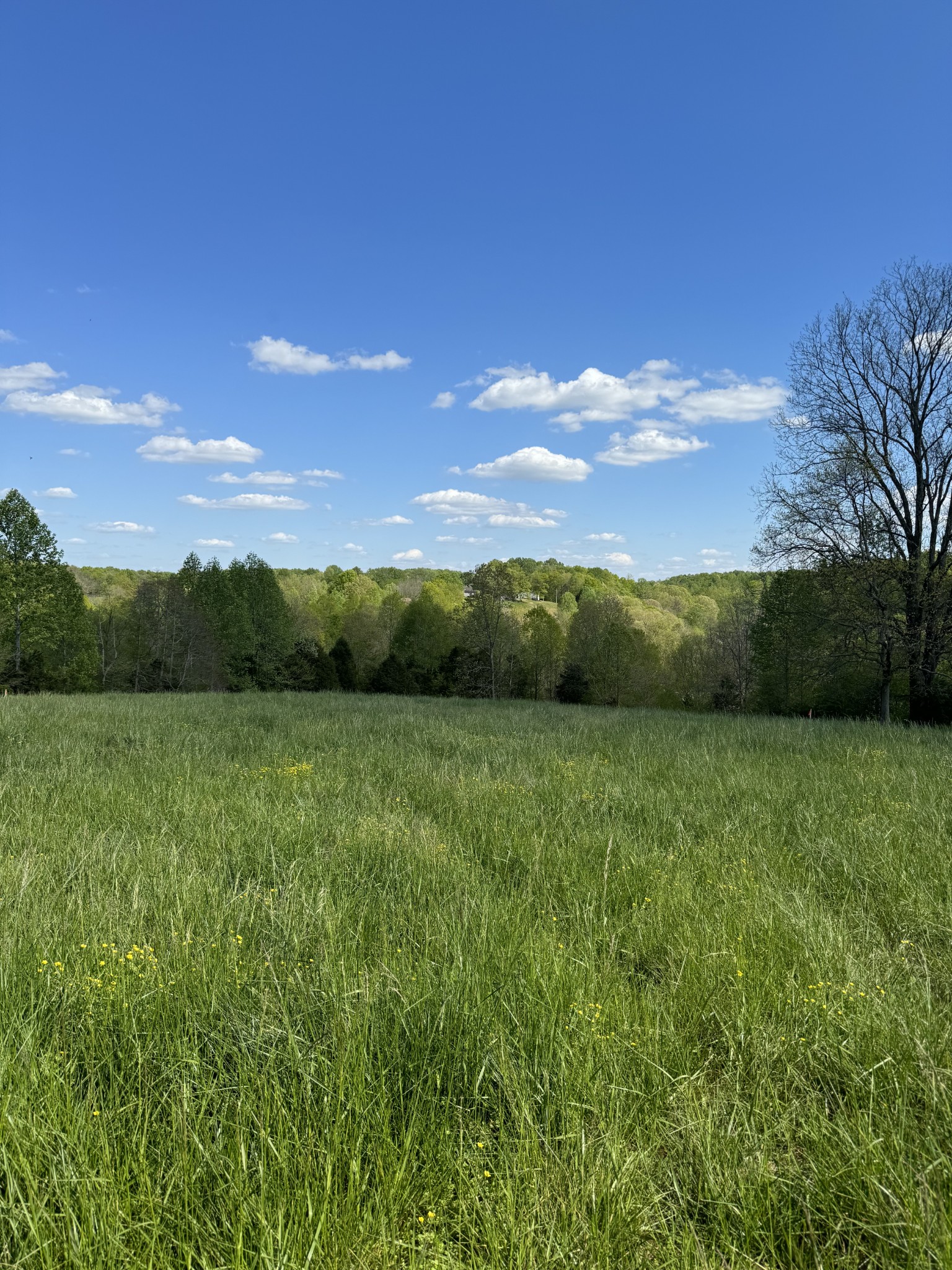 8910 Purtle Road Lafayette, TN 37083 - Photo 1 of 1 Gallery Image 1