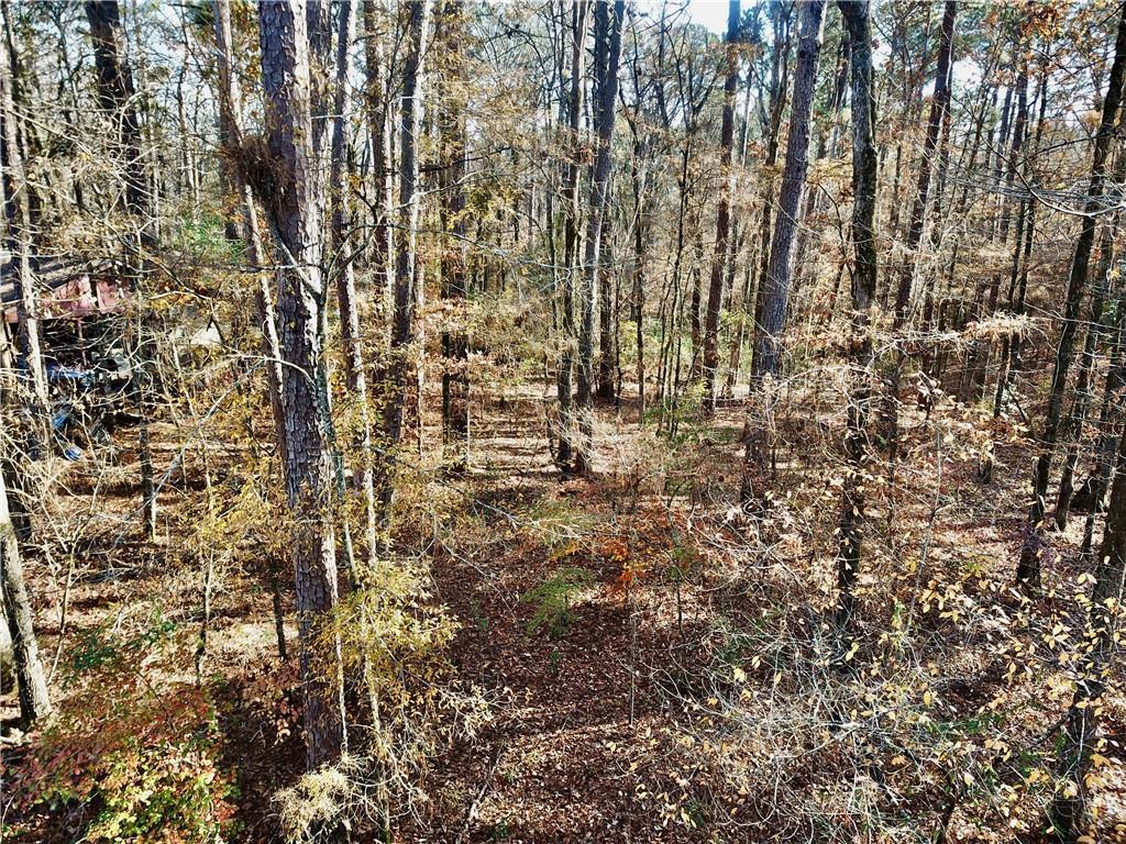 Tbd Howard Road Robeline, LA 71469 - Photo 6 of 11 Gallery Image 6