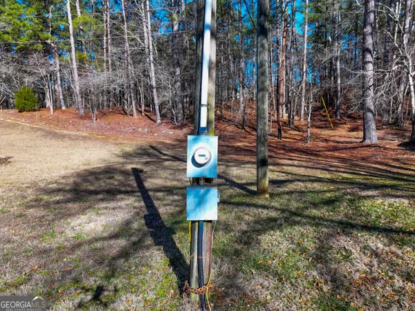 a view of yard with large tree