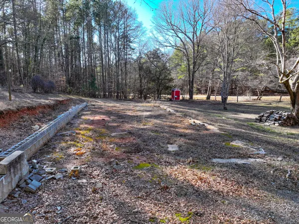 a view of a yard with plants and trees