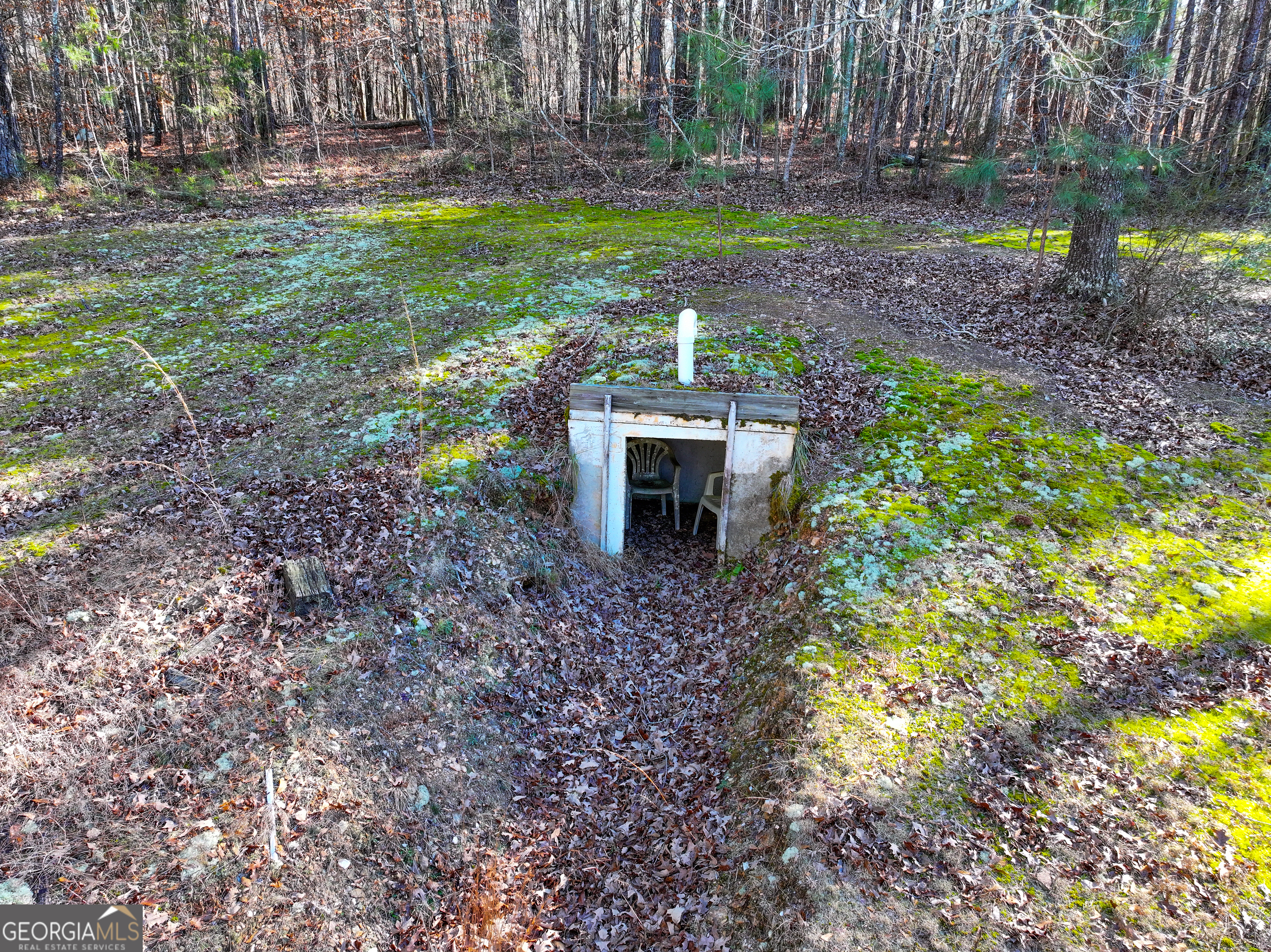 125 George Green Road Tallapoosa, GA 30176 - Photo 18 of 28 a backyard of a house with lots of green space