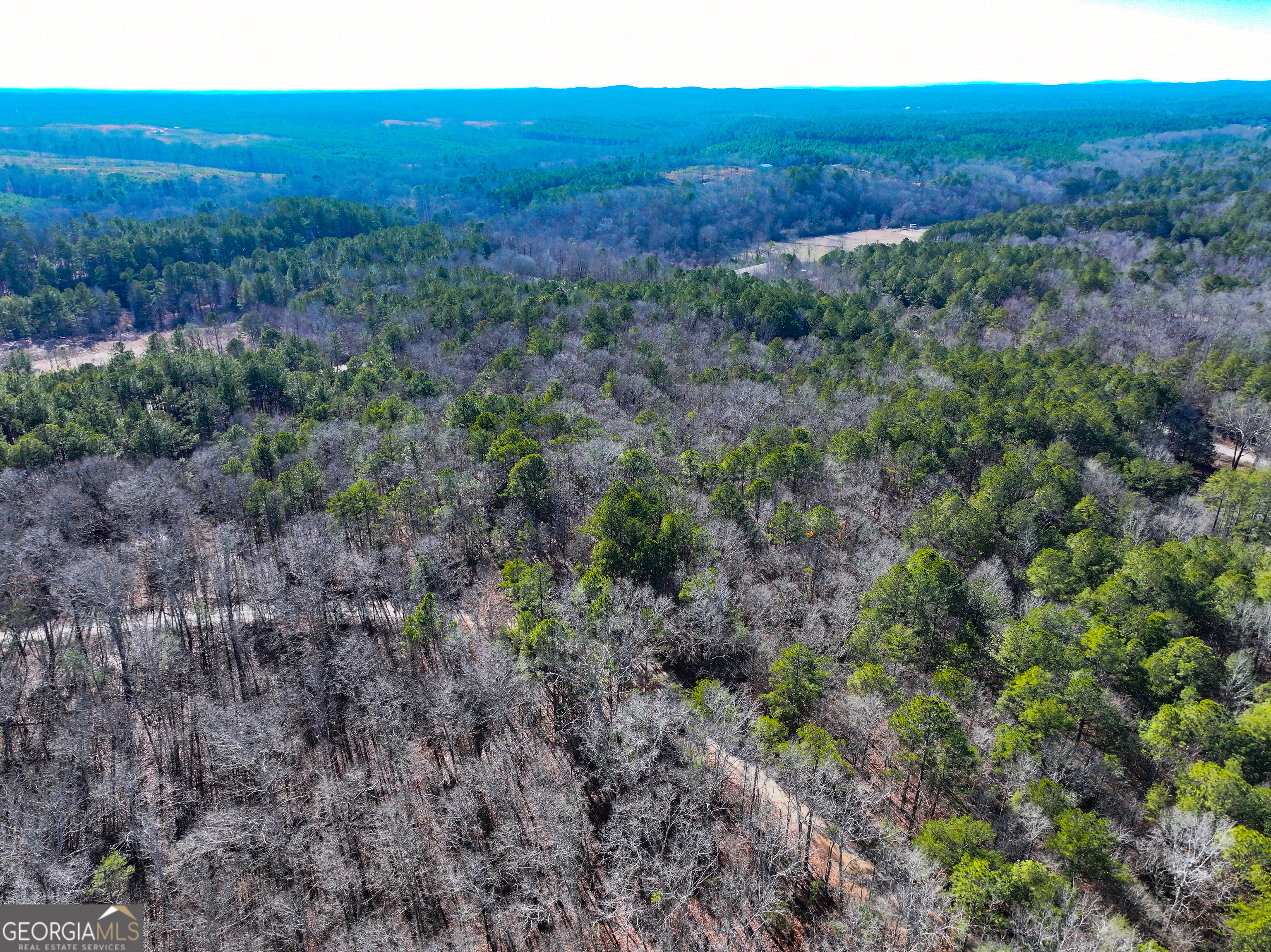 125 George Green Road Tallapoosa, GA 30176 - Photo 19 of 28 a view of a big yard with green space