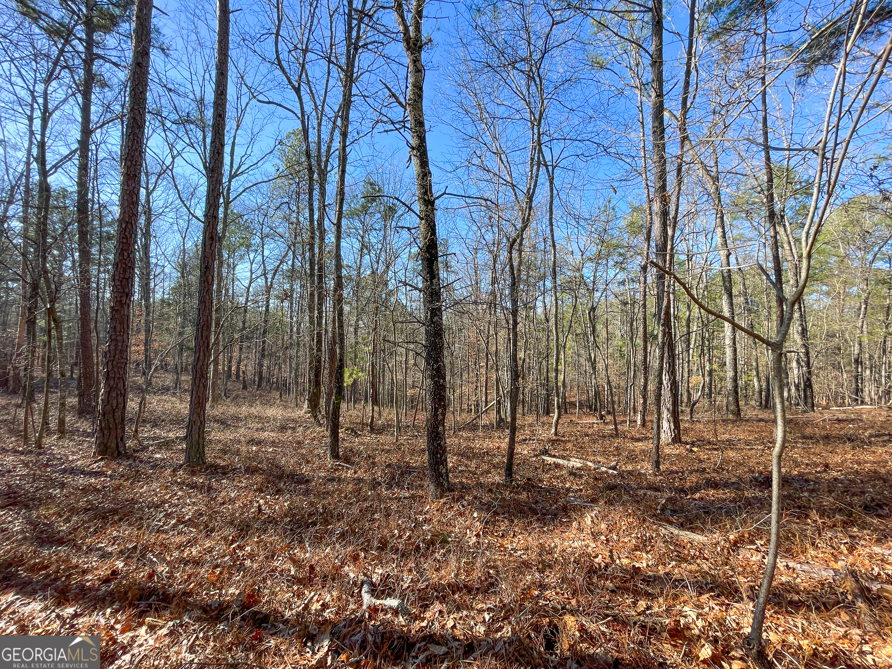 125 George Green Road Tallapoosa, GA 30176 - Photo 23 of 28 a view of house with trees