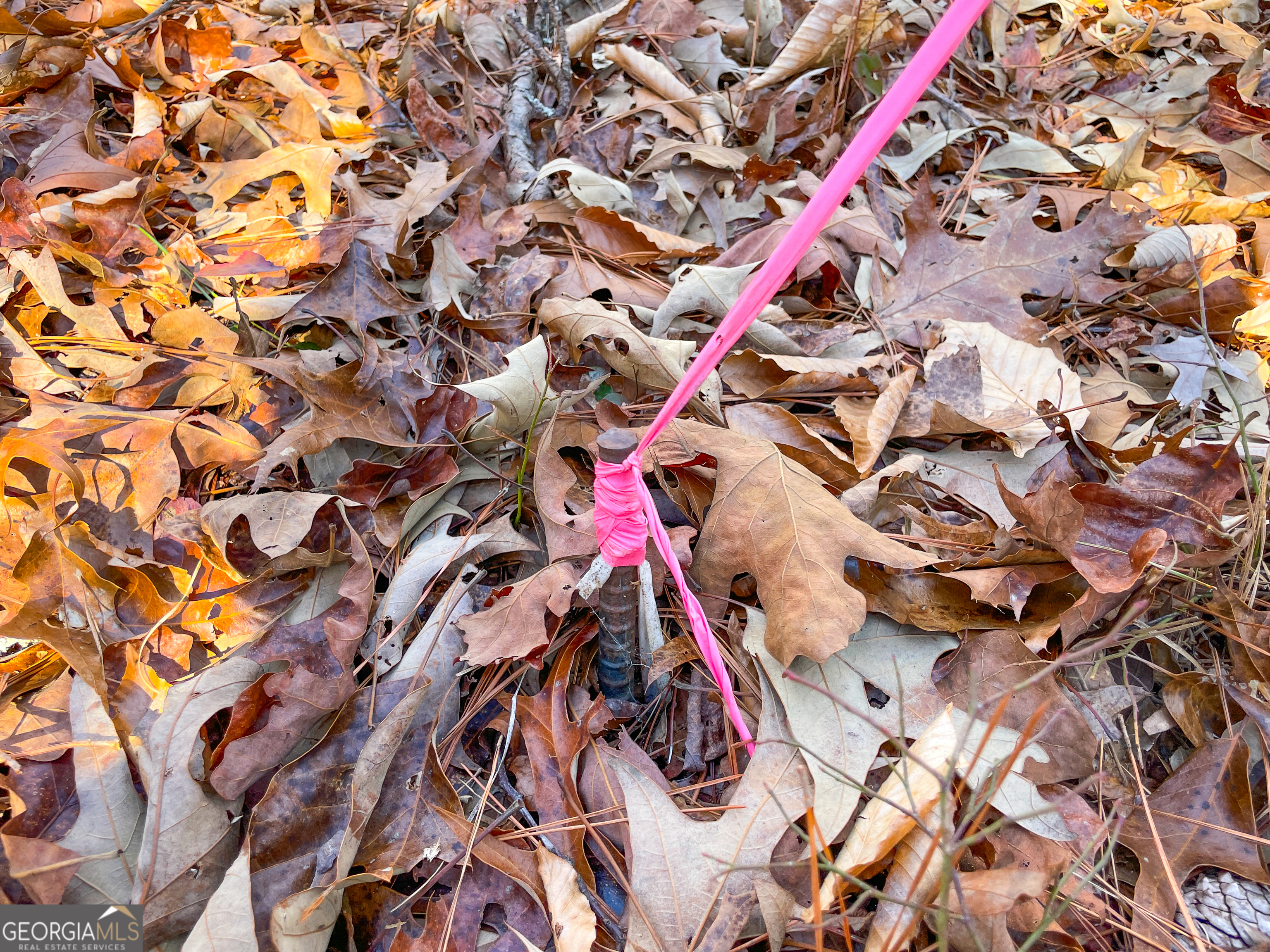 125 George Green Road Tallapoosa, GA 30176 - Photo 24 of 28