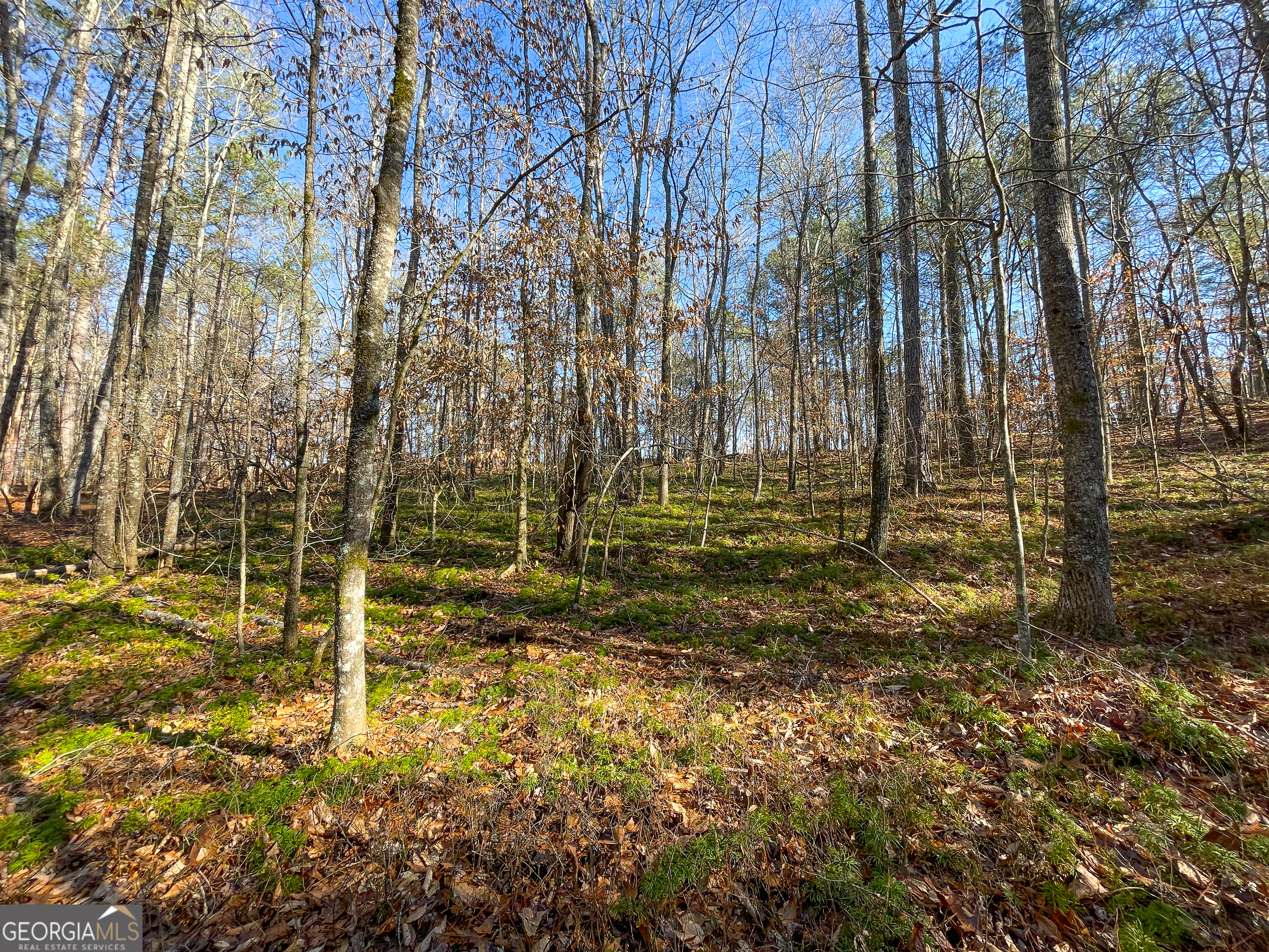 125 George Green Road Tallapoosa, GA 30176 - Photo 26 of 28 a view of under construction area