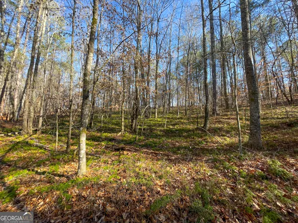 a bird view of a house