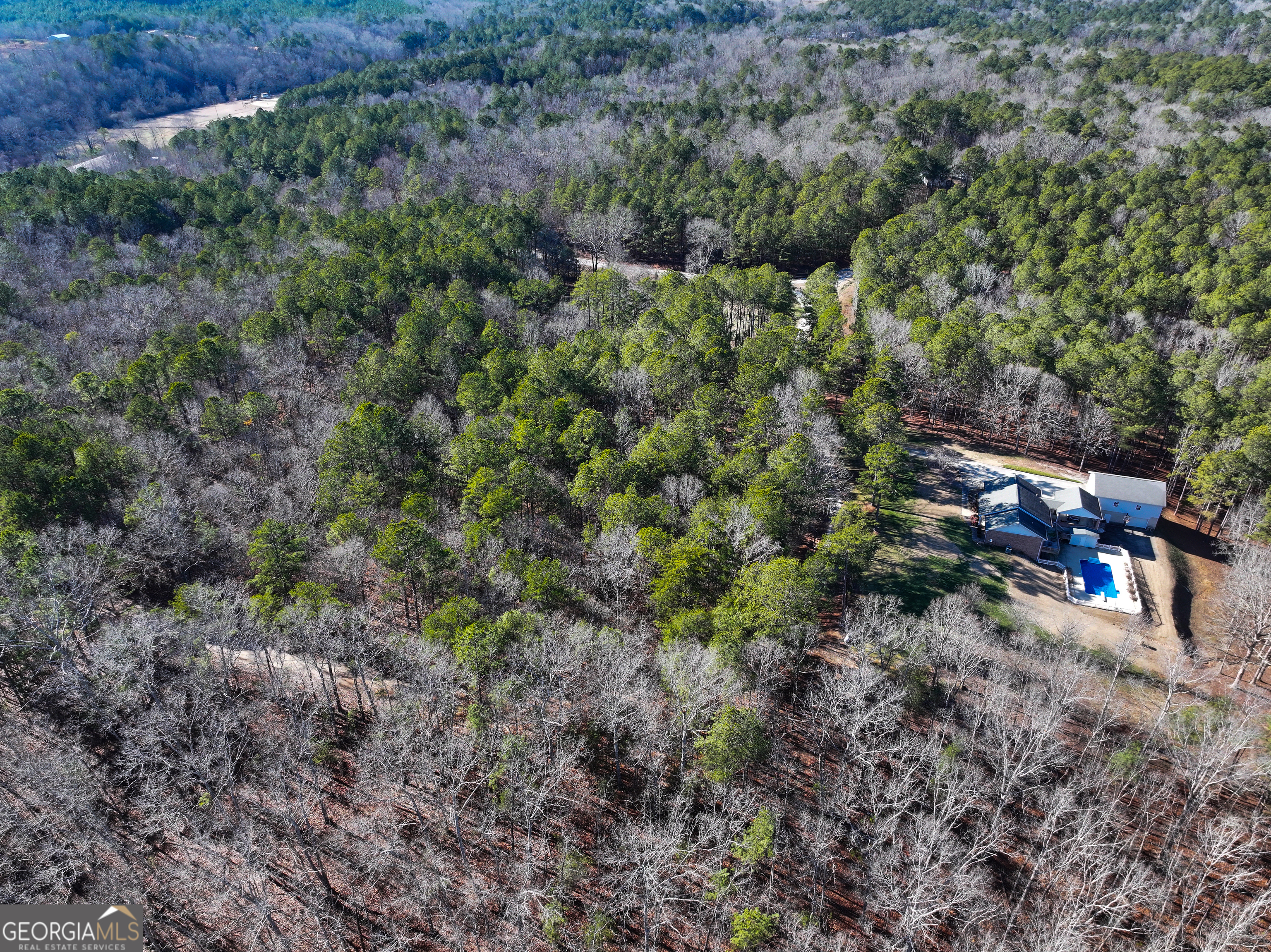 125 George Green Road Tallapoosa, GA 30176 - Photo 6 of 28 a view of a forest with a street