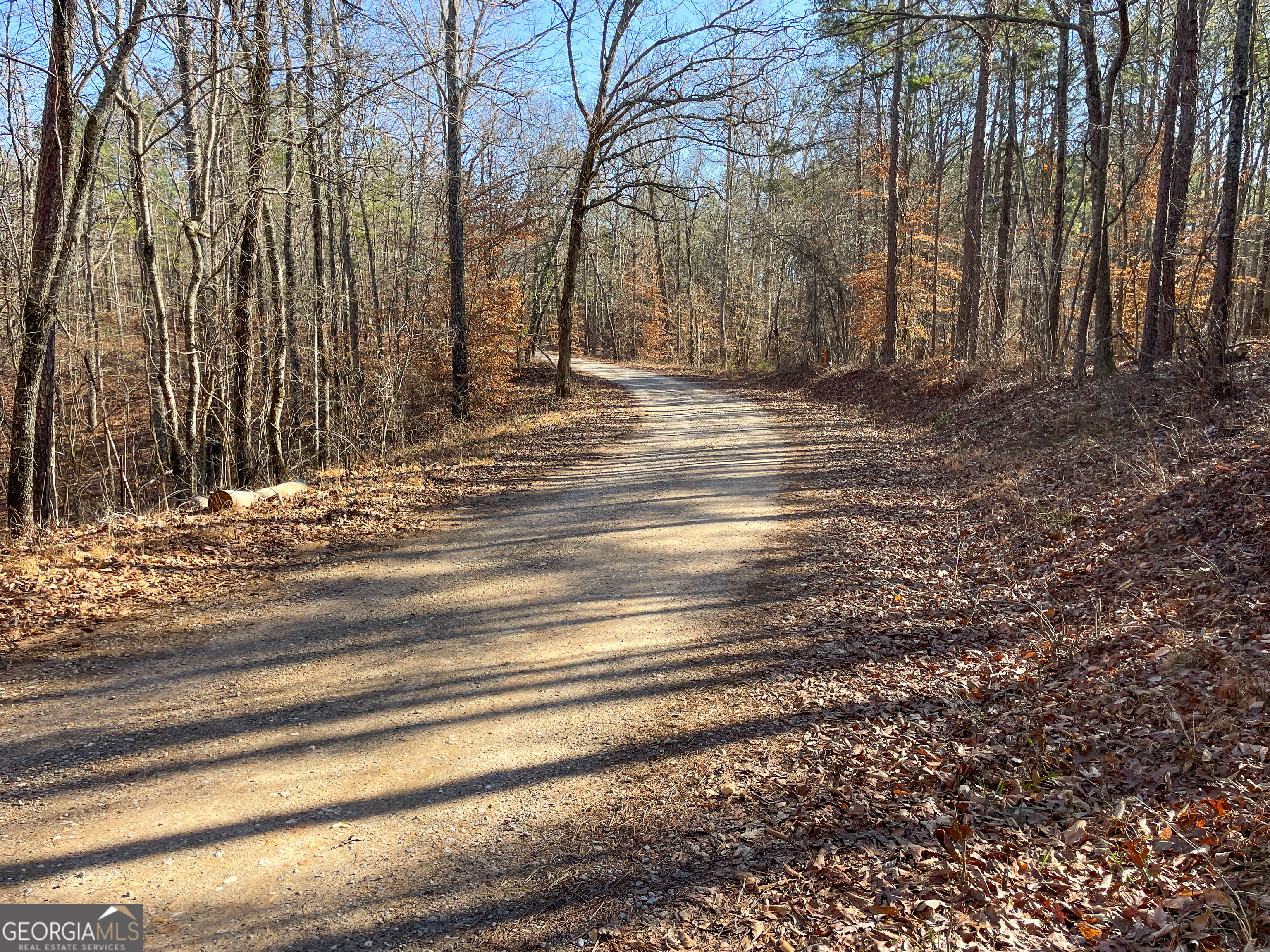 125 George Green Road Tallapoosa, GA 30176 - Photo 7 of 28 a view of backyard with green space