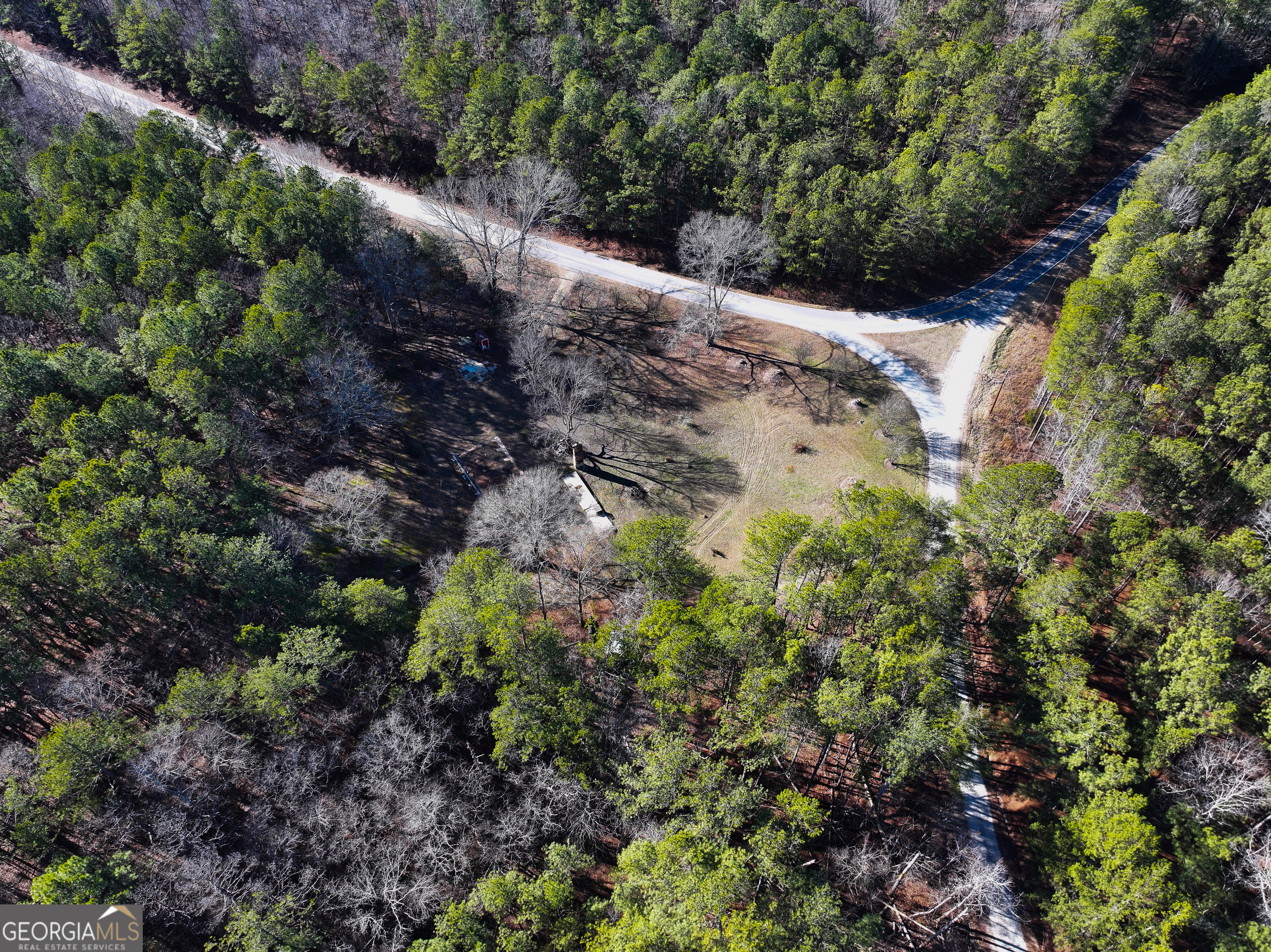 125 George Green Road Tallapoosa, GA 30176 - Photo 9 of 28 a view of a forest with a tree