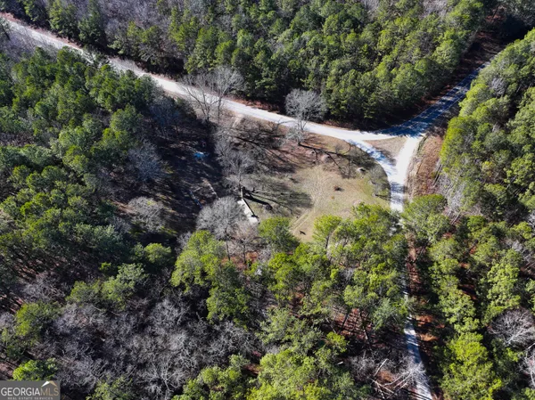 a view of a yard with plants