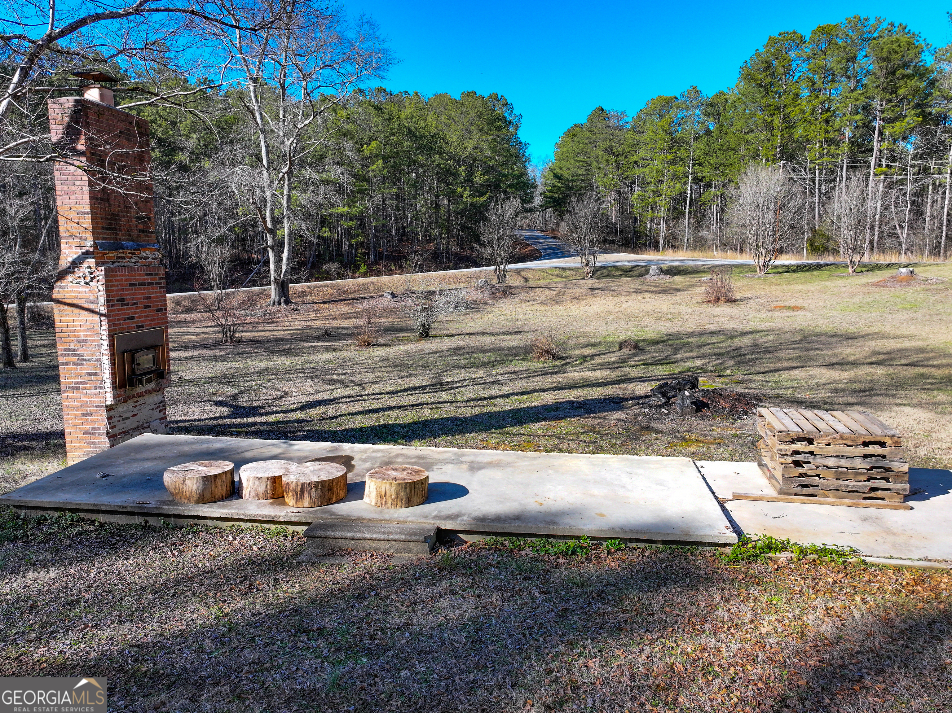 125 George Green Road Tallapoosa, GA 30176 - Photo 10 of 28 a view of a yard with plants