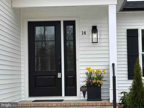 a potted plant sitting in front of a door