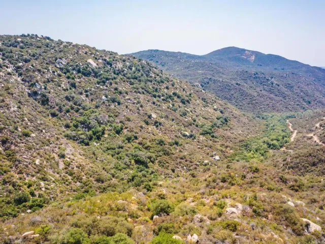 a view of a large mountains with lush green field
