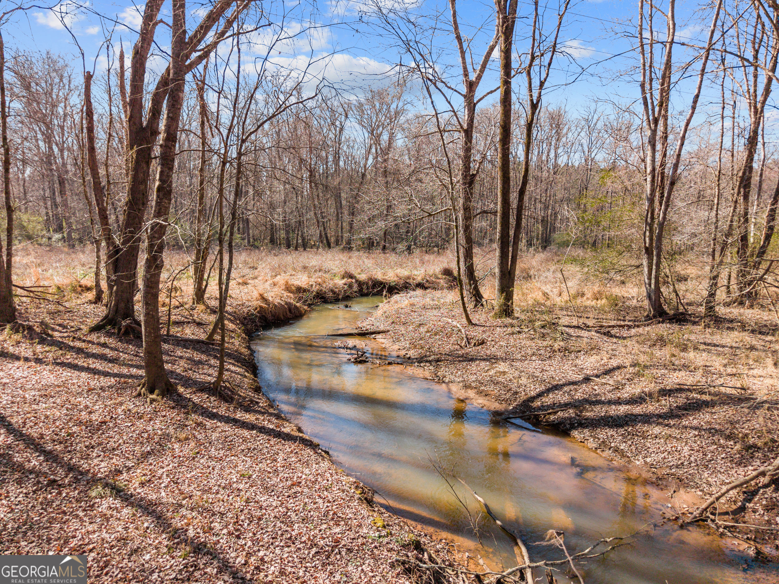 2120 Morgan Lane Covington, GA 30014 - Photo 3 of 52