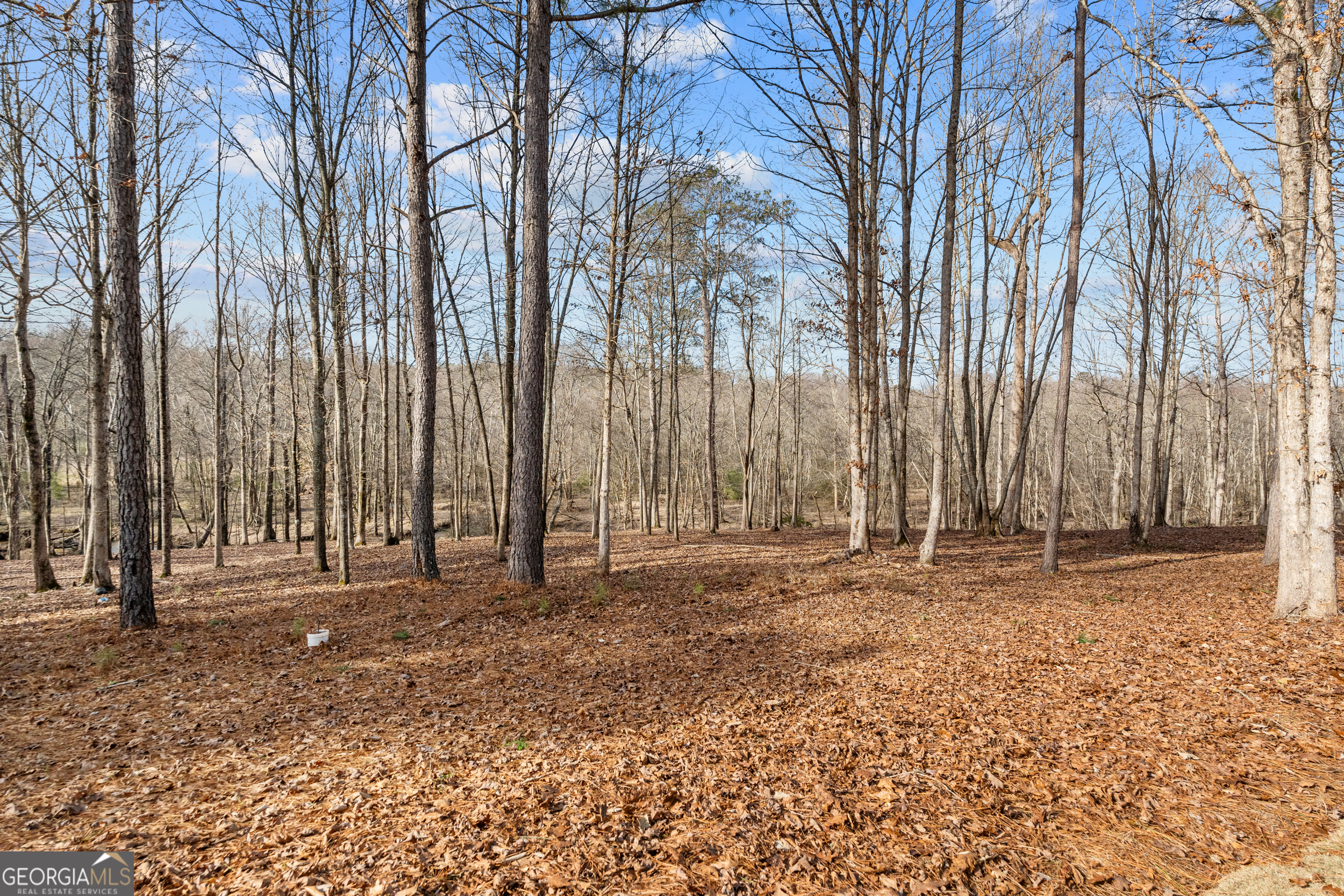 2120 Morgan Lane Covington, GA 30014 - Photo 50 of 52