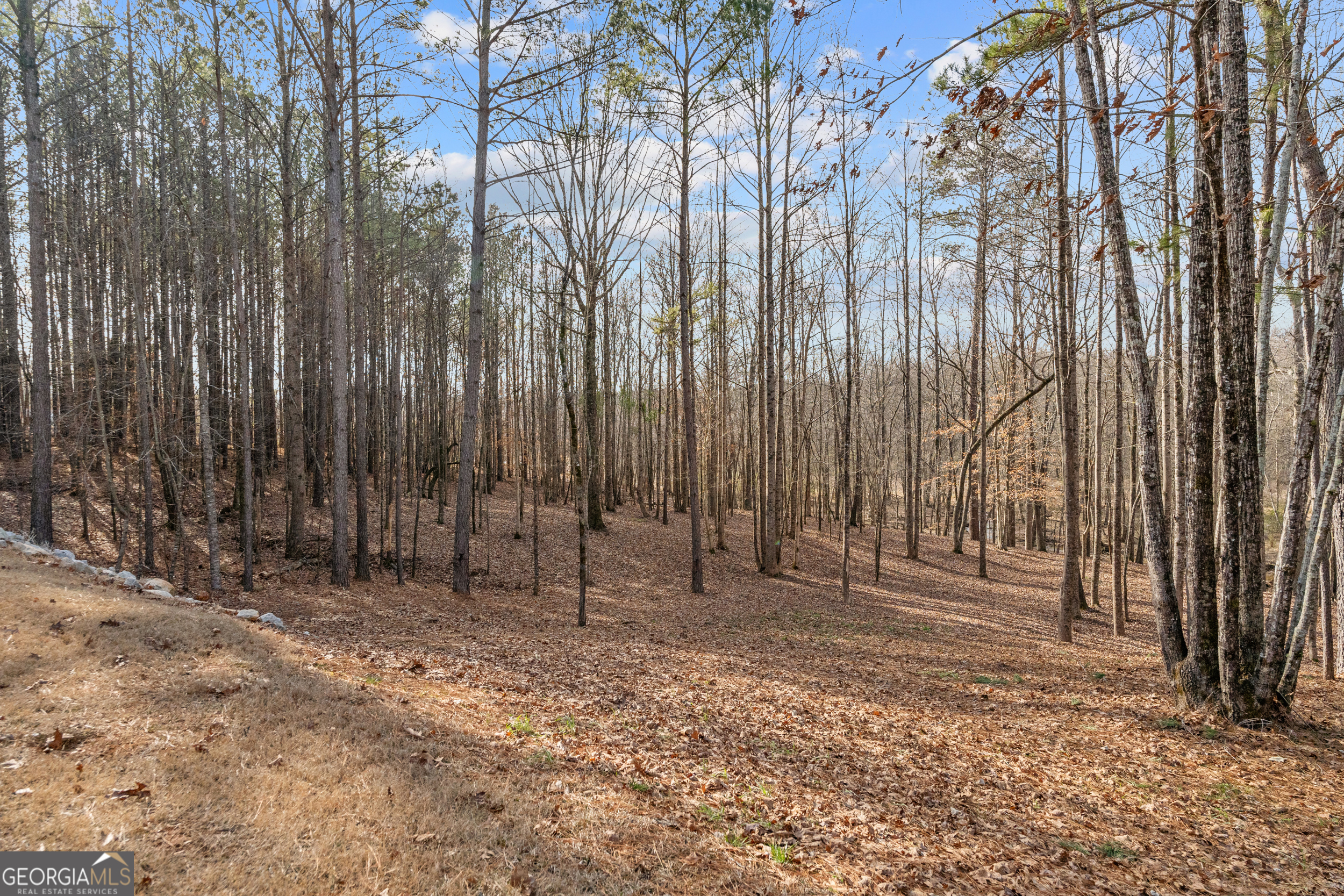 2120 Morgan Lane Covington, GA 30014 - Photo 51 of 52