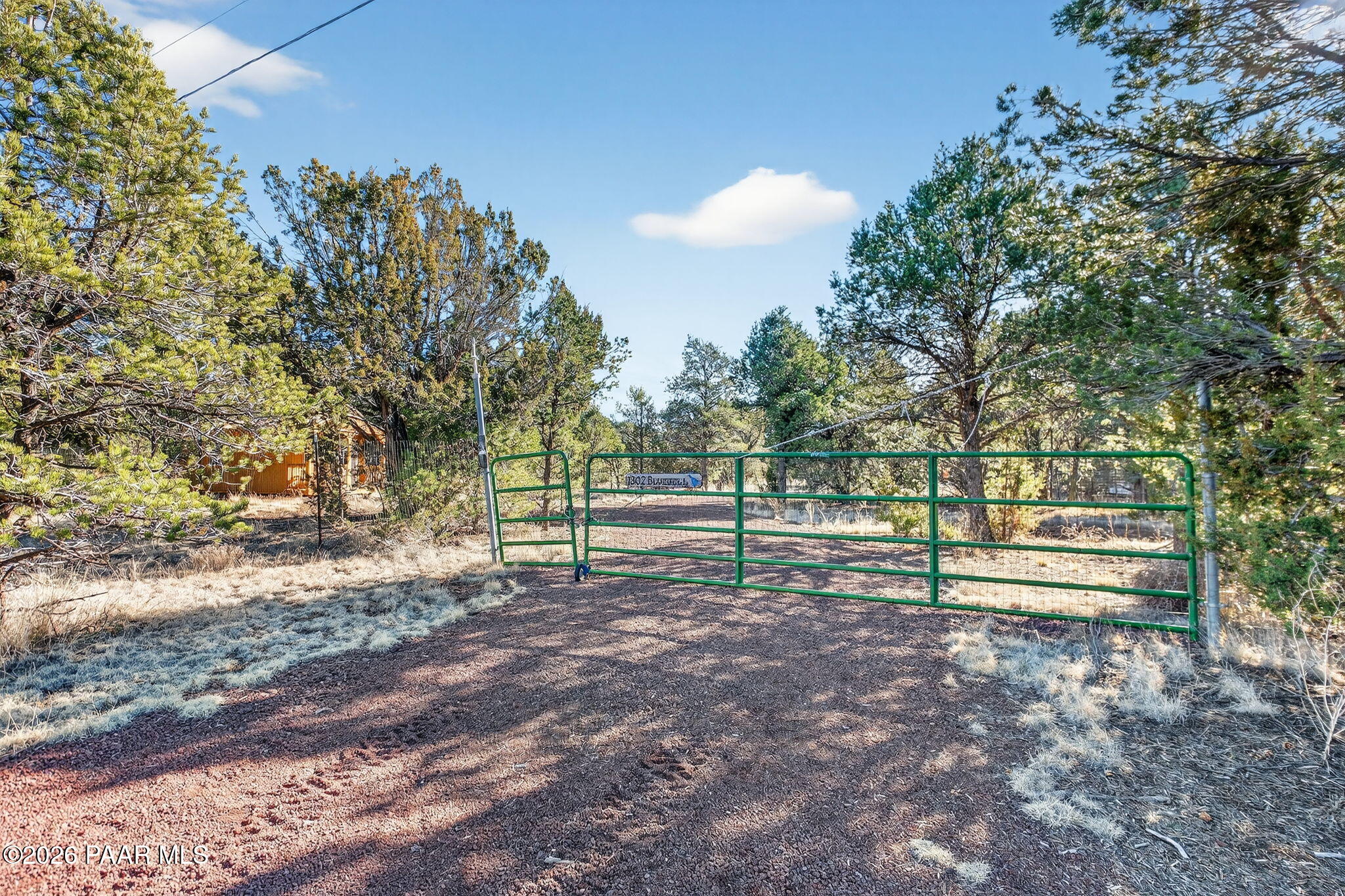 1302 East Bluebell Street Williams, AZ 86046 - Photo 2 of 12 a view of park with trees