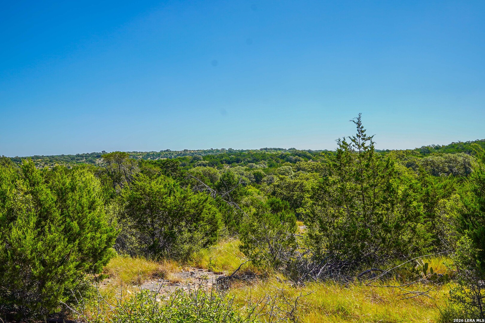 14468 County Road 310 Rocksprings, TX 78880 - Photo 9 of 101 Gallery Image 9
