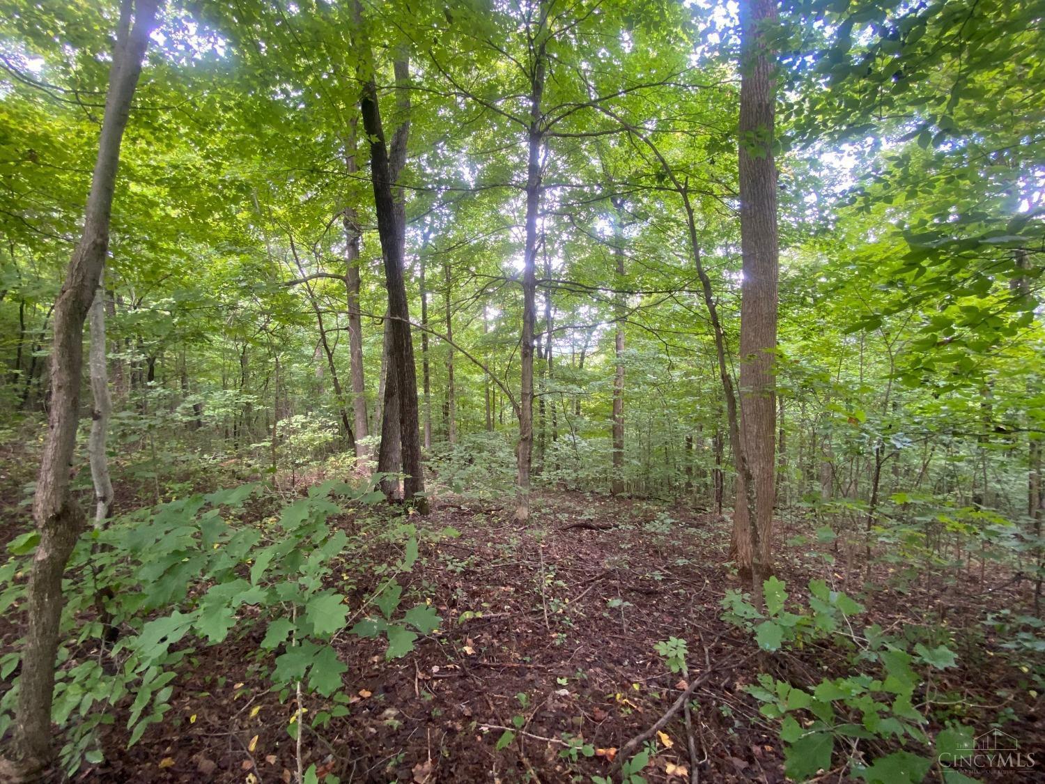 4345 Mt Unger Road Otway, OH 45657 - Photo 3 of 9