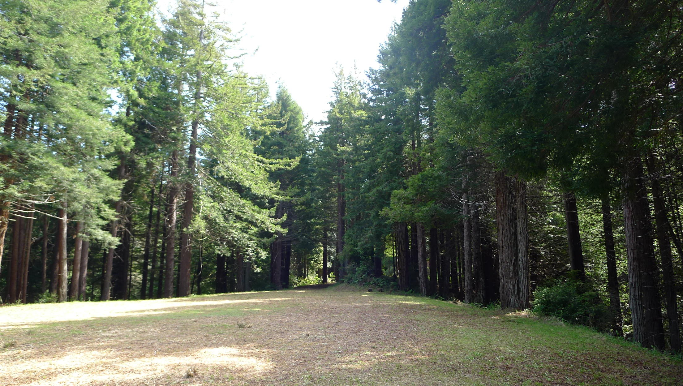 120 May Road Eureka, CA 95503 - Photo 11 of 22 building site