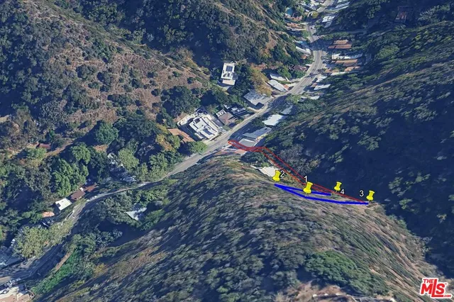 a view of a yard with a large tree