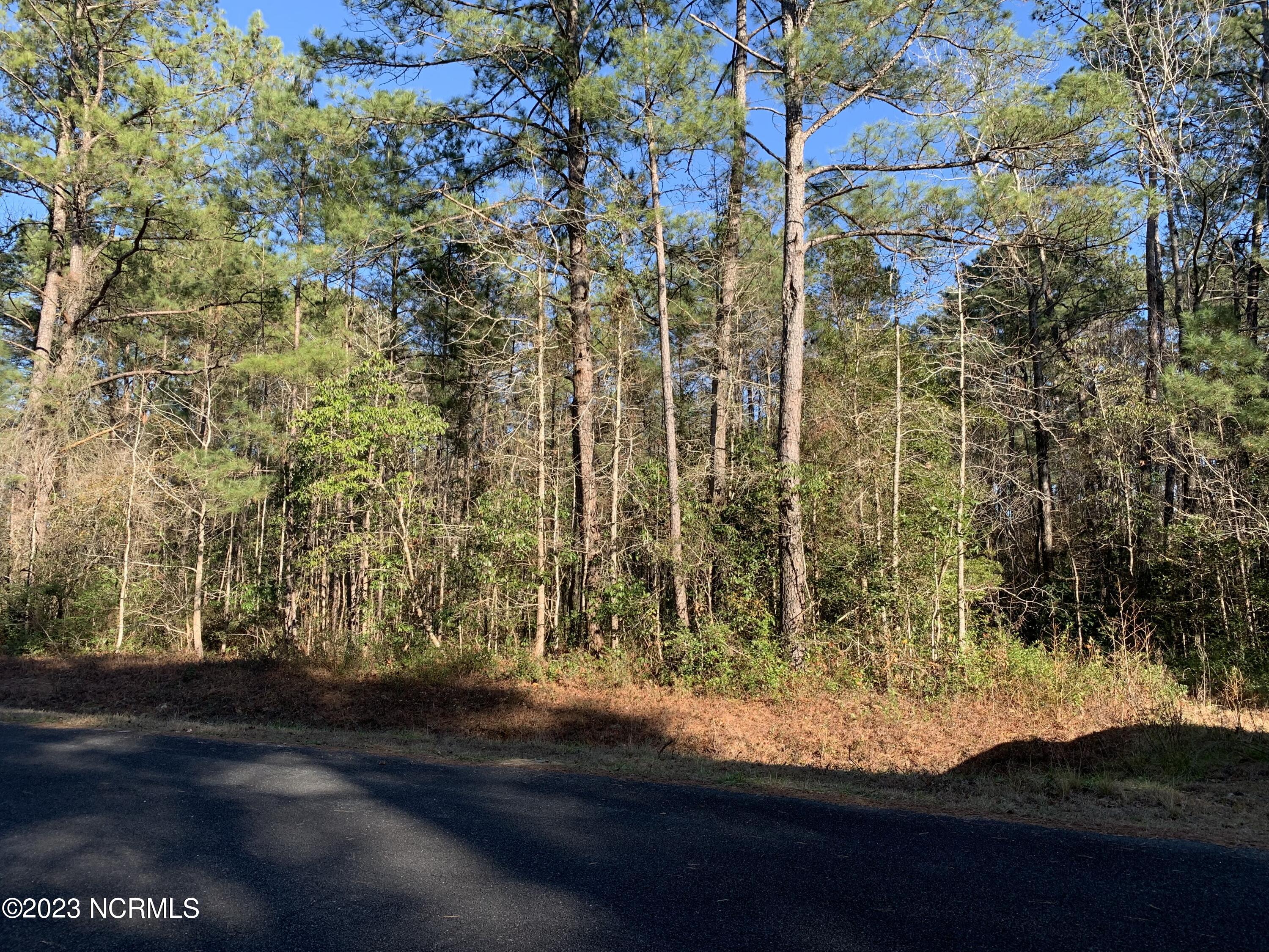 Lot 14 Potterfield Road Winnabow, NC 28479 - Photo 2 of 2 FView