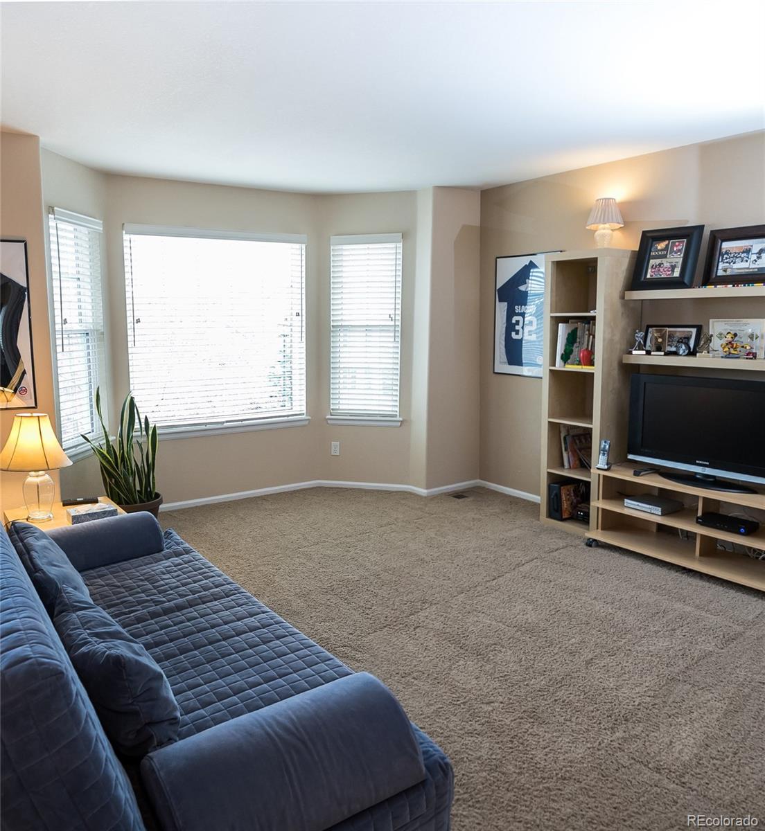 10221 South Nickolas Avenue Highlands Ranch, CO 80130 - Photo 25 of 35 a living room with furniture and a flat screen tv