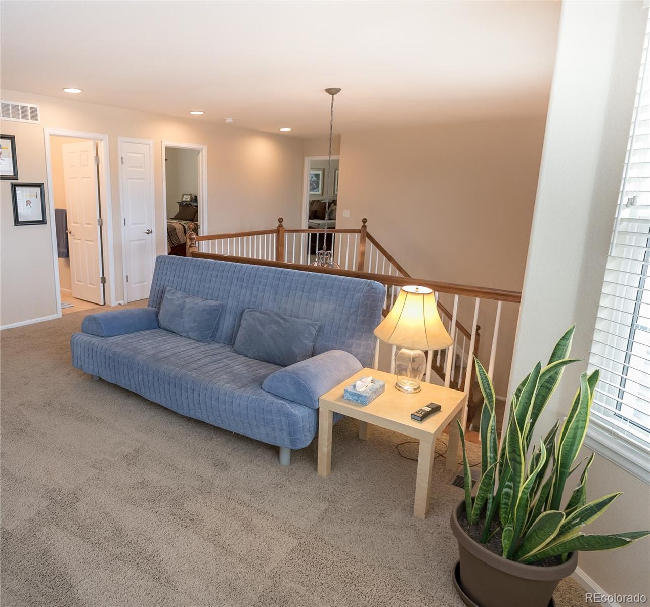 10221 South Nickolas Avenue Highlands Ranch, CO 80130 - Photo 26 of 35 a living room with furniture and a potted plant