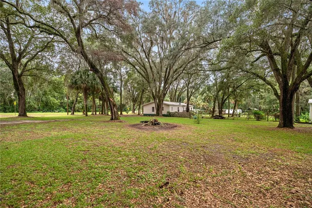 a view of a house with a yard and large trees