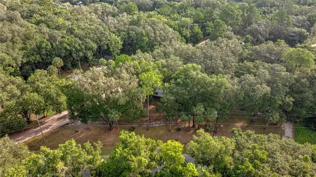 a view of a forest with a house
