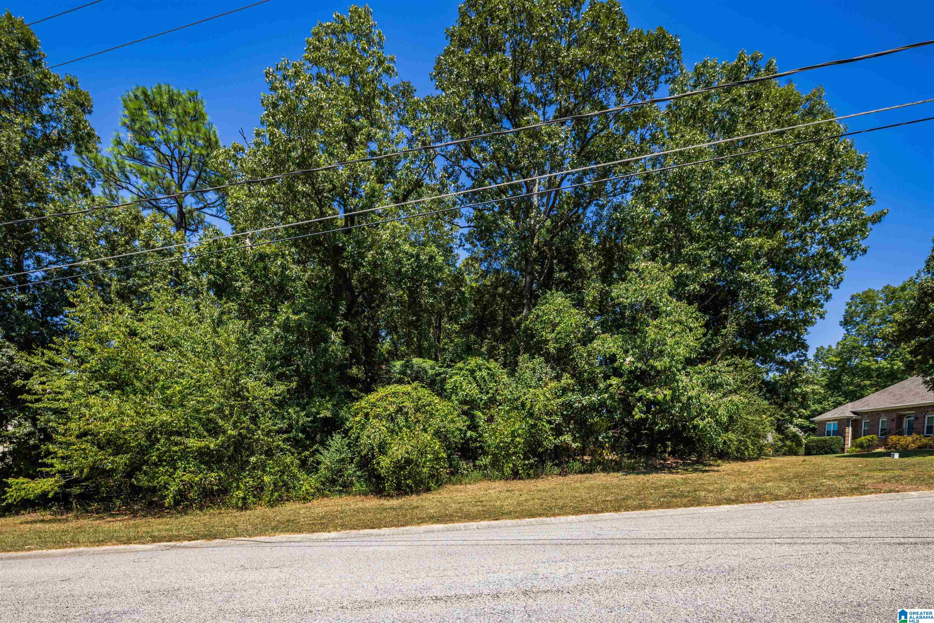 141 Newgate Road, Unit 141 Alabaster, AL 35007 - Photo 12 of 13