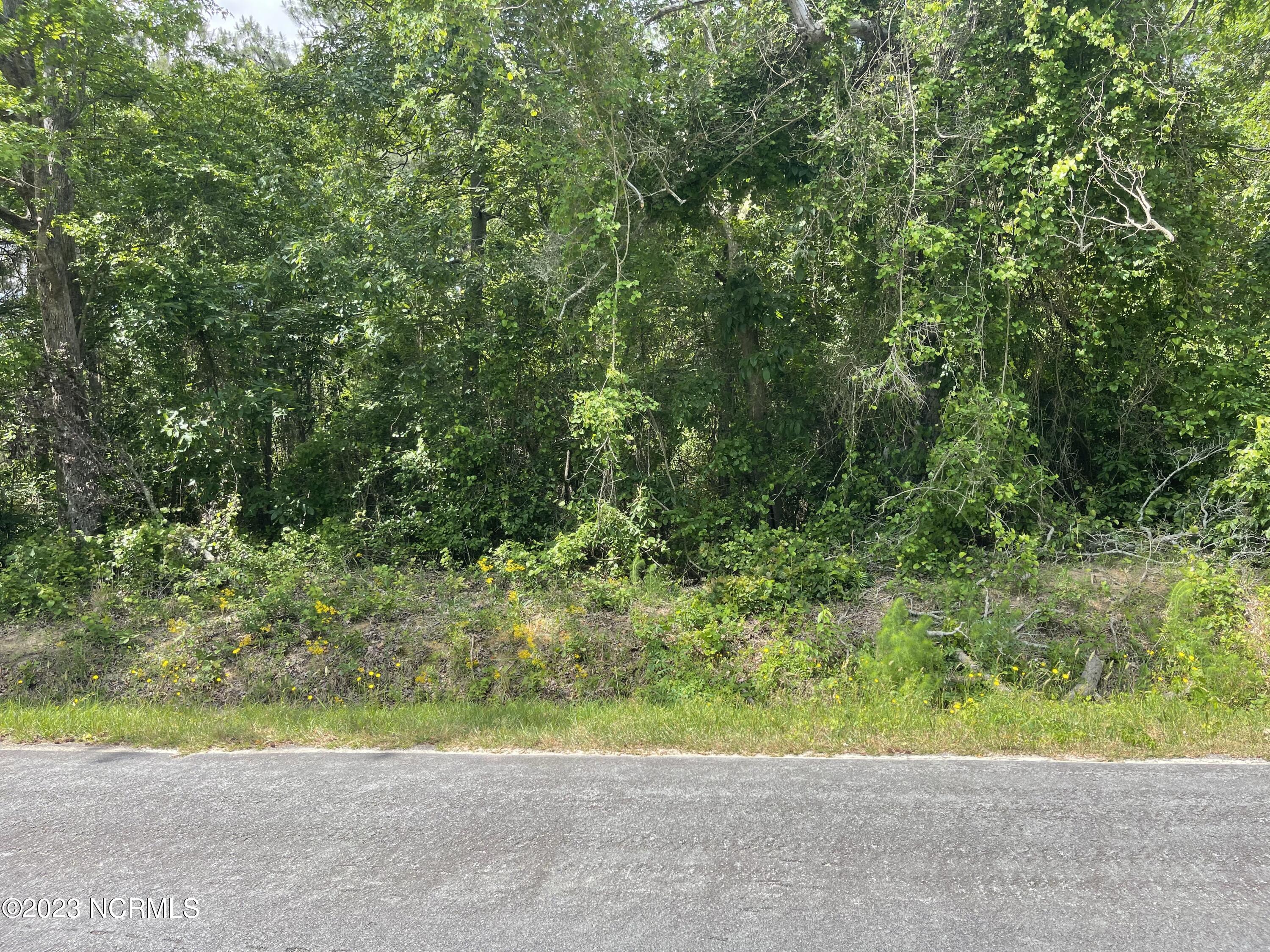 1 Brock Road Dunn, NC 28334 - Photo 2 of 4 IMG-7424