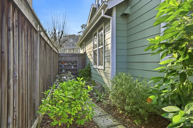 a view of lake and trees