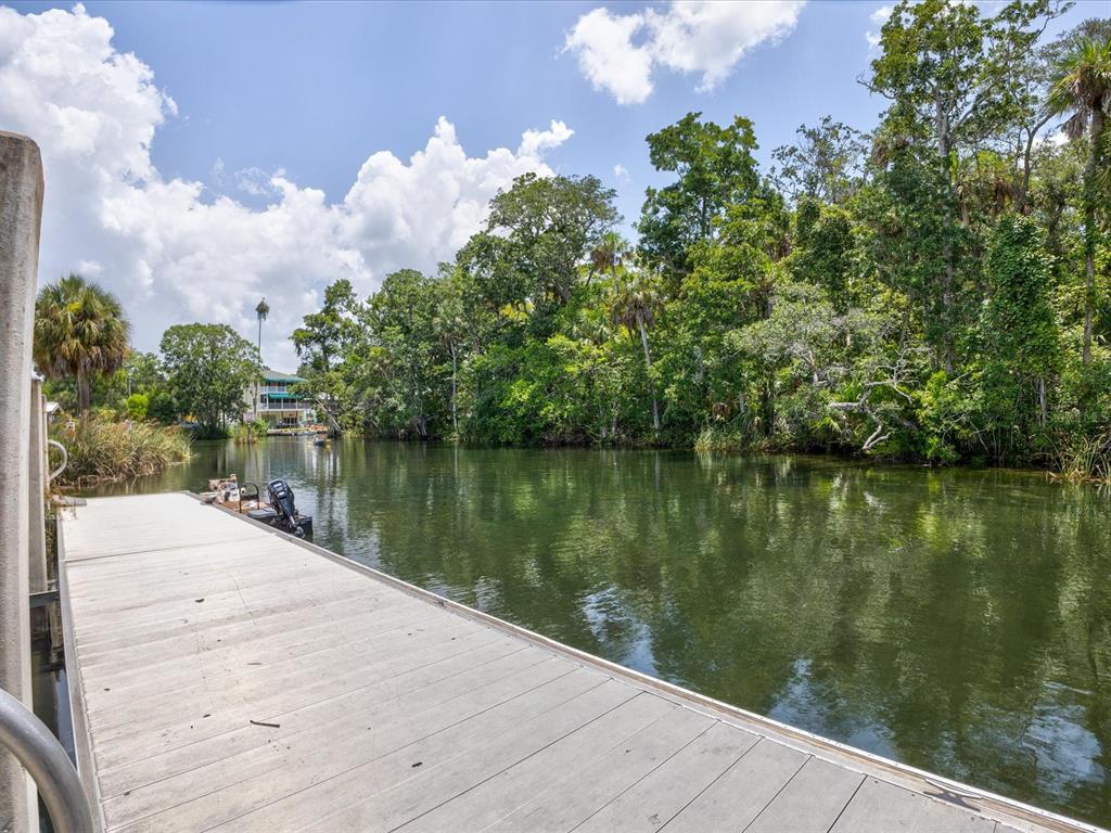 4290 Carlos Court Hernando Beach, FL 34607 - Photo 86 of 96