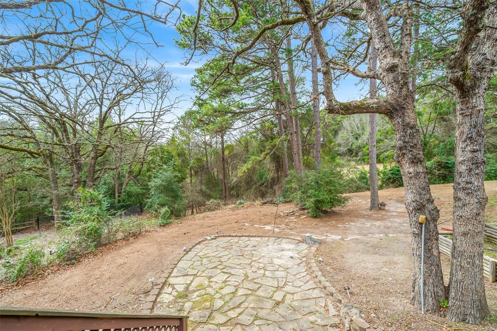 1304 Greenbriar Trail Holly Lake Ranch, TX 75765 - Photo 34 of 40 a view of a yard with plants and trees