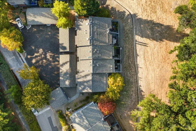 a view of a garden with plants