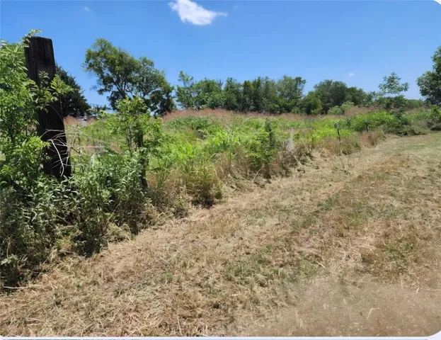 a view of a yard with plants and a bench
